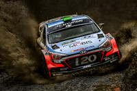 WRC - Wales - 2016