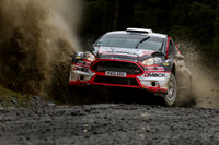 WRC - Wales - 2013
