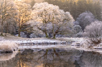 UK Landscapes